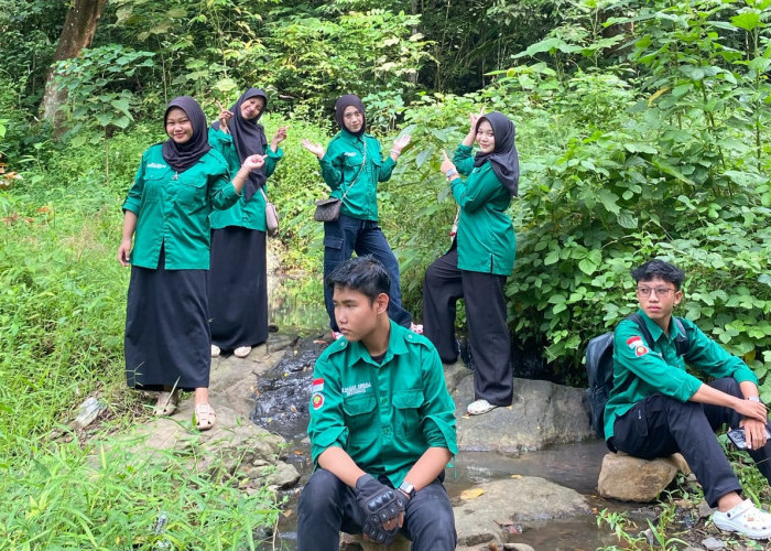 Harmoni Alam:: Pemanfaatan Tumbuhan untuk Kesehatan, Kecantikan dan Ekonomi