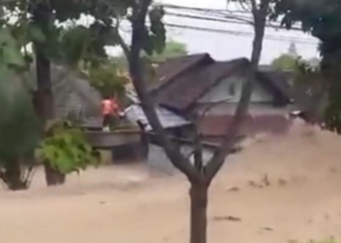Banjir Dahsyat Rendam 11 Kecamatan di Grobogan, Jawa Tengah Ribuan Warga Mengungsi