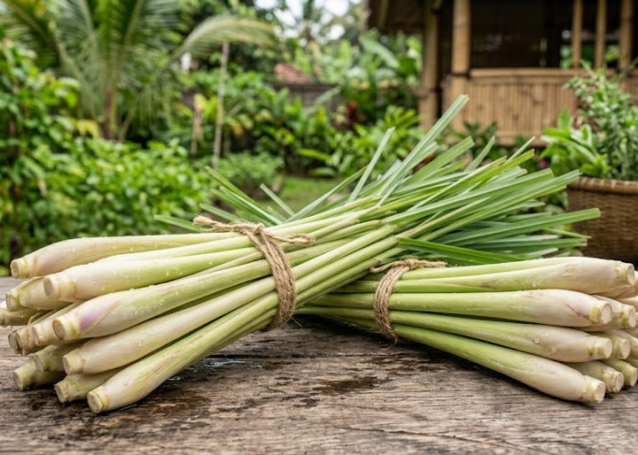 Lebih dari Sekadar Bumbu Dapur, Ini 5 Manfaat Sereh untuk Kesehatan