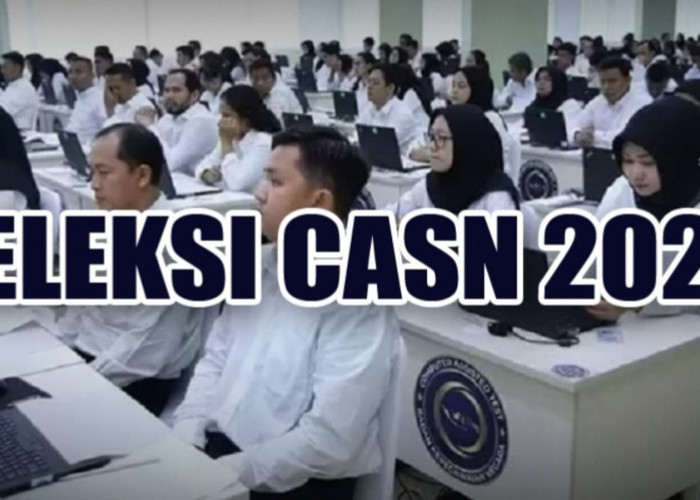 CASN 2024, Pemerintah Bandar Lampung Buka Seleksi CPNS dan PPPK, Catat Ini Kuota Formasinya