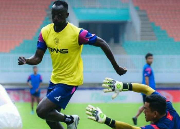 Prediksi RANS Nusantara vs Persib Bandung: Kembali ke Jalur Kemenangan?