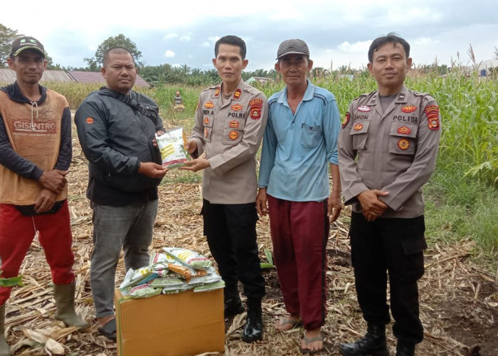 Dukung Ketahanan Pangan, Polsek Lubuk Linggau Selatan Bantu 30 Kg Bibit Jagung Unggul