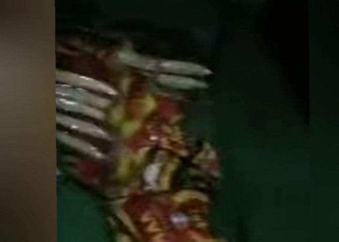 Sopir Truk Mengaku Jadi Korban Bajing Loncat di Musi Rawas, Pelaku Diduga Manfaatkan Jalan Rusak