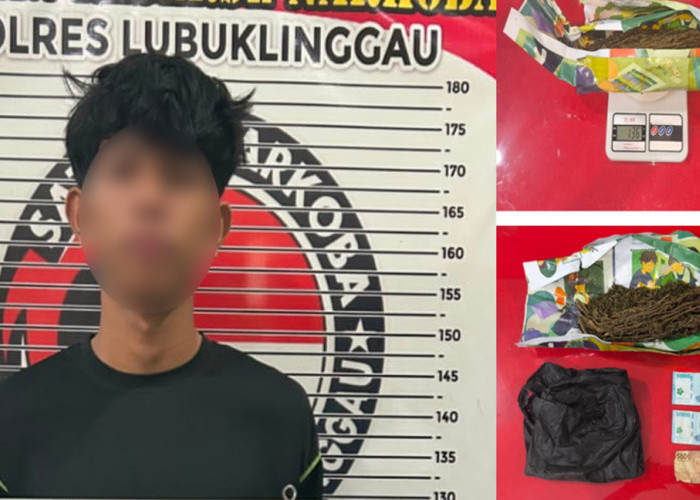 Remaja Tugumulyo Musi Rawas Ditangkap Bawa Ganja di Lubuk Linggau