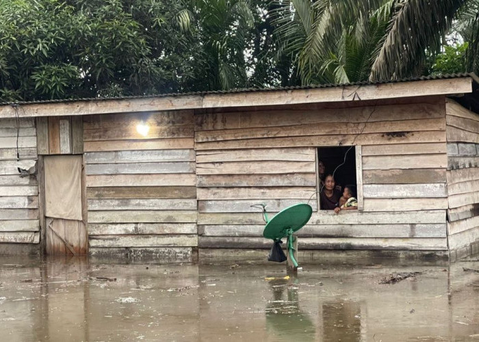 Korban Banjir di Sembatu Jaya Musi Rawas Tidur di Plafon dan Tenda Darurat