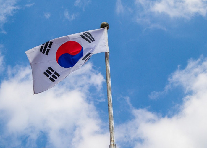 Warga Korea Selatan Mendukung Israel Dengan Unjuk Rasa: Benarkah Korea Selatan Pro Israel