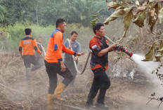 Respon Cepat BPBD Musi Rawas, Kebakaran Lahan di Muara Beliti Berhasil Dipadamkan