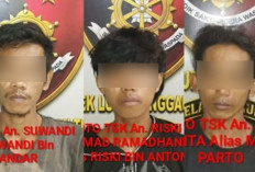 Geger Maling Alpukat di Batu Urip Taba Lubuk Linggau, 3 Pelaku Ditangkap Warga Saat Hendak Kabur