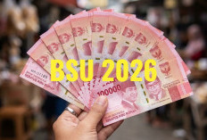 3 Cara Cek Penerima BSU Rp900 Ribu Secara Online, Bisa Lewat JMO