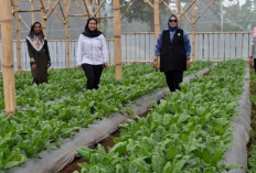Limbah Menjadi Sumber Penghidupan, Perempuan Nasabah PNM Mekaar di Bandung Barat Kembangkan Usaha 