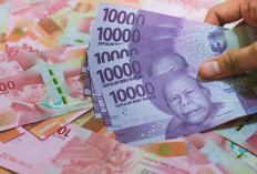 Jadwal Pencairan THR ASN 2026