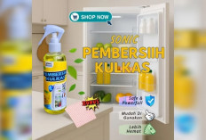 Tips Bersihkan Kulkas Pakai Sonic Cleaner Pembersih Kulkas: Jadi Wangi dan Sehat