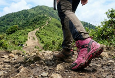 7 Rekomendasi  Sepatu Hiking Wanita, Kece dan Berkualitas