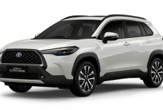 Mobil Hybrid Boros BBM? Ini Penyebabnya!