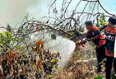 Daftar 6 Kecamatan di Musi Rawas Sangat Rawan Karhutla, BPBD Siagakan Personil dan Peralatan