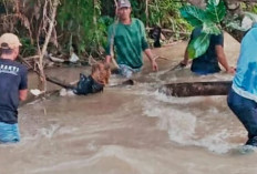 Pembunuhan Ibu Mertua di Empat Lawang Dipicu Konflik Pembagian Hasil Kopi, Pelaku Ditangkap di Lubuk Linggau
