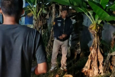 Polsek Tugumulyo Musi Rawas Datangi Lokasi Penampakan Pocong, Orang yang Mengaku Memotret Tidak Datang