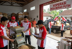 6 Fakta Rekrutmen SPPI Koperasi Desa Merah Putih 2026, Penting Disimak