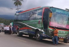 Izin Trayek Bus ALS Yang Tewaskan 16 Orang di Jalinsum Muratara Sudah Kadaluarsa, Mati Sejak 13 September 2024