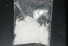 Mantan PNS Musi Rawas Ditangkap, Jadi Kurir Sabu di Lubuk Linggau