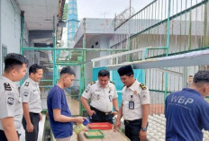 Dukung Ketahanan Pangan, Giatja Lapas Narkotika Muara Beliti Laksanakan Penyemaian Bibit Pakcoy Secara Berkala