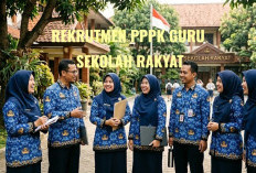 PPPK Guru Sekolah Rakyat Buka 3.053 Formasi, Cek Bidangnya Berikut