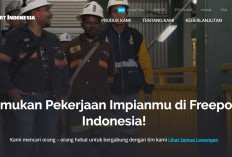 PT Freeport Indonesia Buka Lowongan Kerja Sebanyak 91 Posisi, Cek Sekarang 