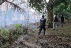 Bakar Lahan 1 Hektar di Belalau, Petani di Lubuk Linggau Ditangkap Polisi
