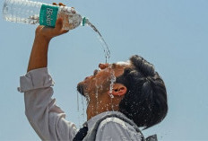 Penting, Ini 3 Cara Agar Cairan Tubuh Tetap Terpenuhi Saat Puasa Ramadan 2026