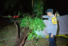 Pohon Timpa Tenda Pramuka, Siswa SMA Negeri Reksa Budi Musi Rawas Meninggal Dunia