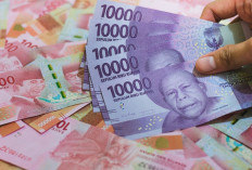 Heboh Pembahasan Single Salary ASN, Menpan RB: Fokusnya Total Reward, Bukan Sekadar Penyatuan Gaji