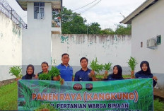 Panen Raya Kangkung Jadi Bukti Keberhasilan Program Pembinaan di Lapas Narkotika Muara Beliti