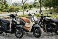 5 Langkah Memilih Cover Jok Motor Awet dan Tahan Cakaran Kucing
