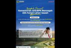Langkah Darurat Kementerian ATR/BPN Mencegah Alih Fungsi Lahan Sawah Demi Ketahanan Pangan