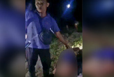 Kronologis Warga Batu Gane Musi Rawas Diterkam Harimau, Mata dan Hidung Hilang