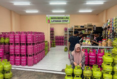 Harga LPG Resmi Turun, Cek Ini Tarif Bright Gas 5,5 dan 12 Kg di Berbagai Wilayah