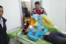 Tabrak Truk Berhenti di Jalur Musi Rawas – PALI, Pembonceng Sepeda Motor Meninggal Dunia