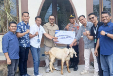 Rayakan Idul Adha 1447 H, FIFGROUP Cabang Lubuk Linggau Berbagi Hewan Kurban untuk Masyarakat