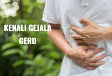 Kenali Gejala Penyakit Asam Lambung dan Cara Tepat Mengatasinya