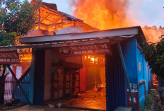 Saat di Kebun, Rumah Budi di Jayaloka Ludes Terbakar, Kerugian Ratusan Juta Rupiah