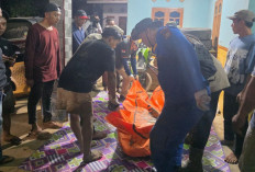 Warga Jawa Barat Korban Serangan Buaya di Pulau Rimau Banyuasin Ditemukan Tewas
