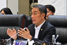 Anggota DPR RI Fauzi Amro Tanggapi Mundurnya Pimpinan OJK: Itu Sikap Ksatria