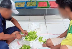 Dukung Pembinaan Kemandirian, Lapas Narkotika Muara Beliti Produksi Pupuk Kompos