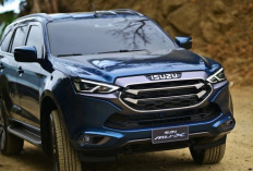 Beli Mobil Bekas, Kenali Perbedaan Biaya Perawatan SUV dengan MPV Berikut Ini