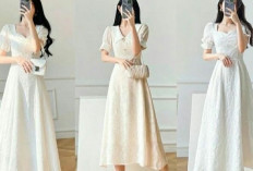 7 Jenis Dress Wanita untuk Tampil Elegan dan Cantik, Mau Coba?