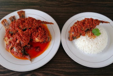 RM Ummi Bunga Lubuk Linggau Hadirkan Menu Nila Bumbu Bali: Rasanya Pedas Kaya Rempah