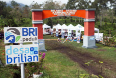 Jangkau 5.245 Desa BRILiaN, BRI Perluas Dukungan bagi Pengembangan Ekonomi Desa