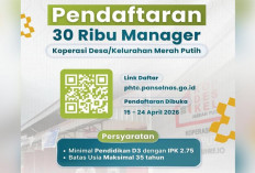 Link Pendaftaran Lowongan Kerja 30 Ribu Manajer Koperasi Merah Putih, Usia Maksimal 35 Tahun