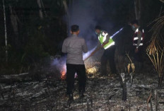 Lubuk Linggau Dikepung 57 Titik Api, 23 Hektare Lahan Hangus - Damkar: Banyak yang Sengaja Dibakar