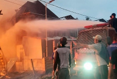 12 Rumah Hangus Terbakar di Desa Landur Empat Lawang, Kerugian Capai Rp 4 Miliar